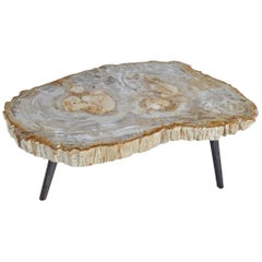 Vintage Andrianna Shamaris Light Toned Petrified Wood Coffee Table