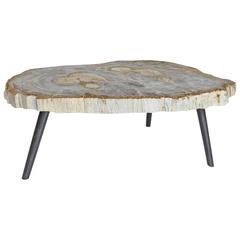 Antique Andrianna Shamaris Petrified Wood Coffee Table