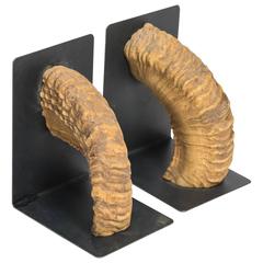 Pair of Ram Horn Bookends