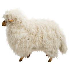 Life-Size Sheep