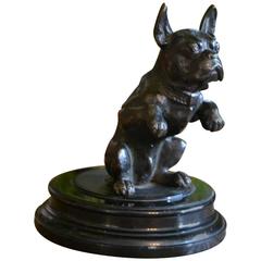 Antique French Bulldog Mascotte