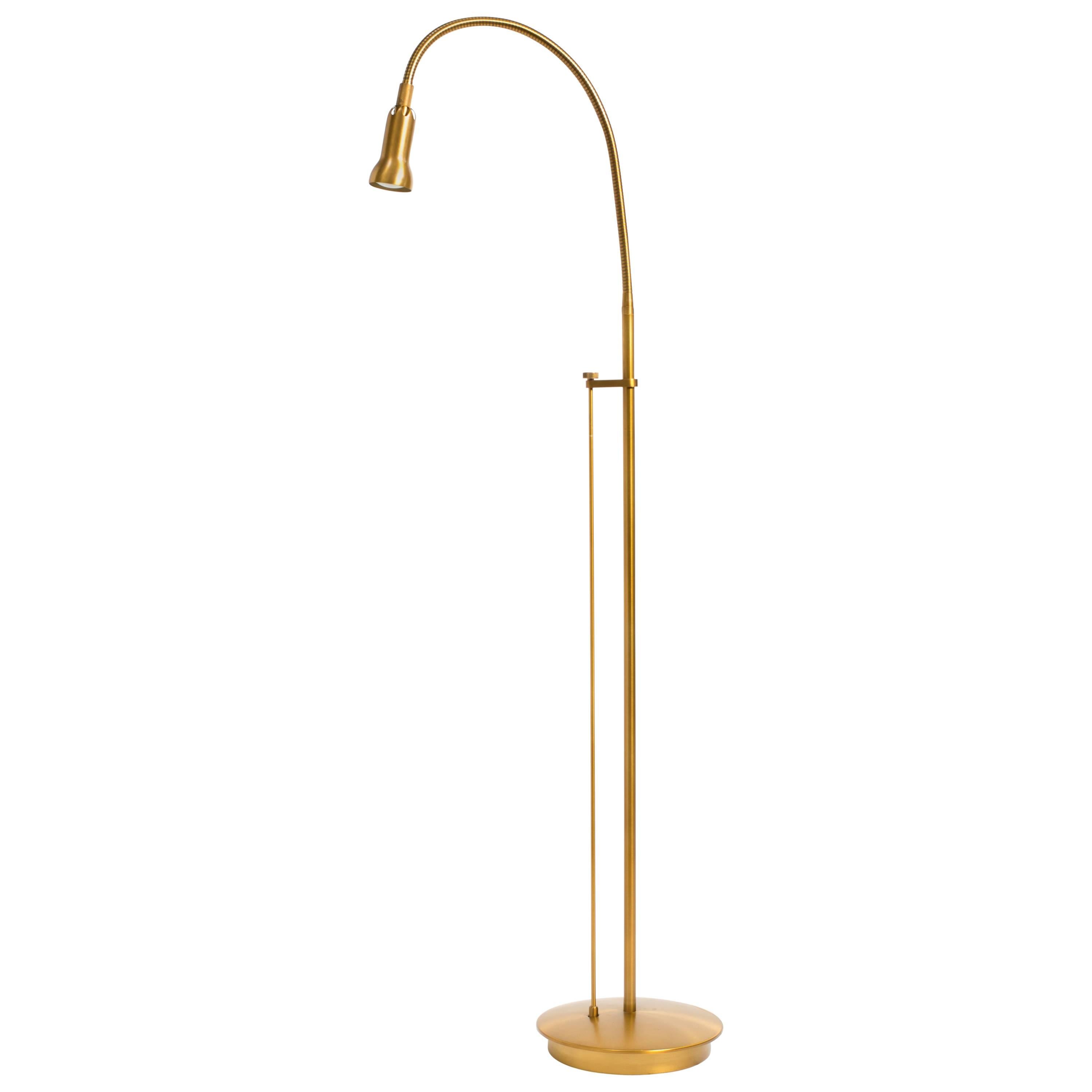 Brass Gooseneck Floor Lamp