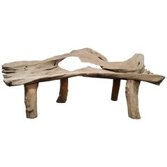 Teak Root Bench