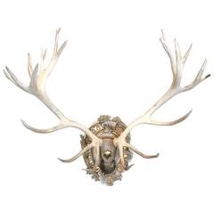 19th Century Habsburg Red Stag on Hand-Carved Italian Polychrome Gilt Plaque