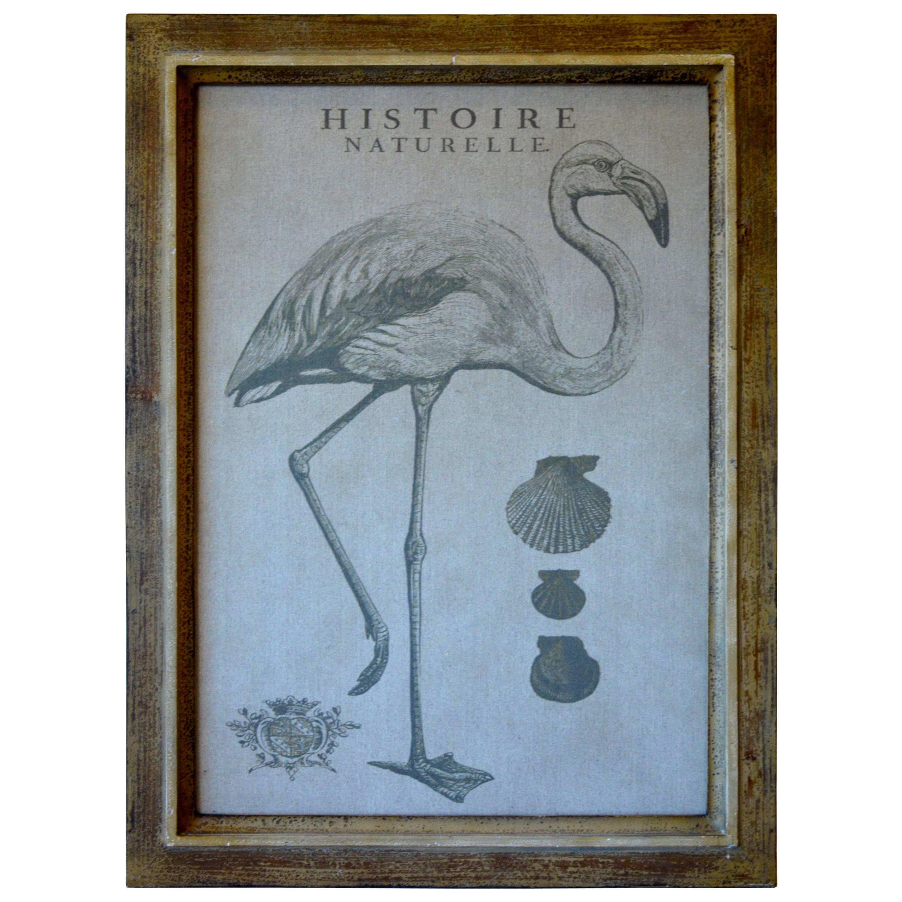 Flamingo Print For Sale