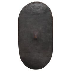 Early 20th Century Tribal Azande Shield from D.R. Congo, Africa 4