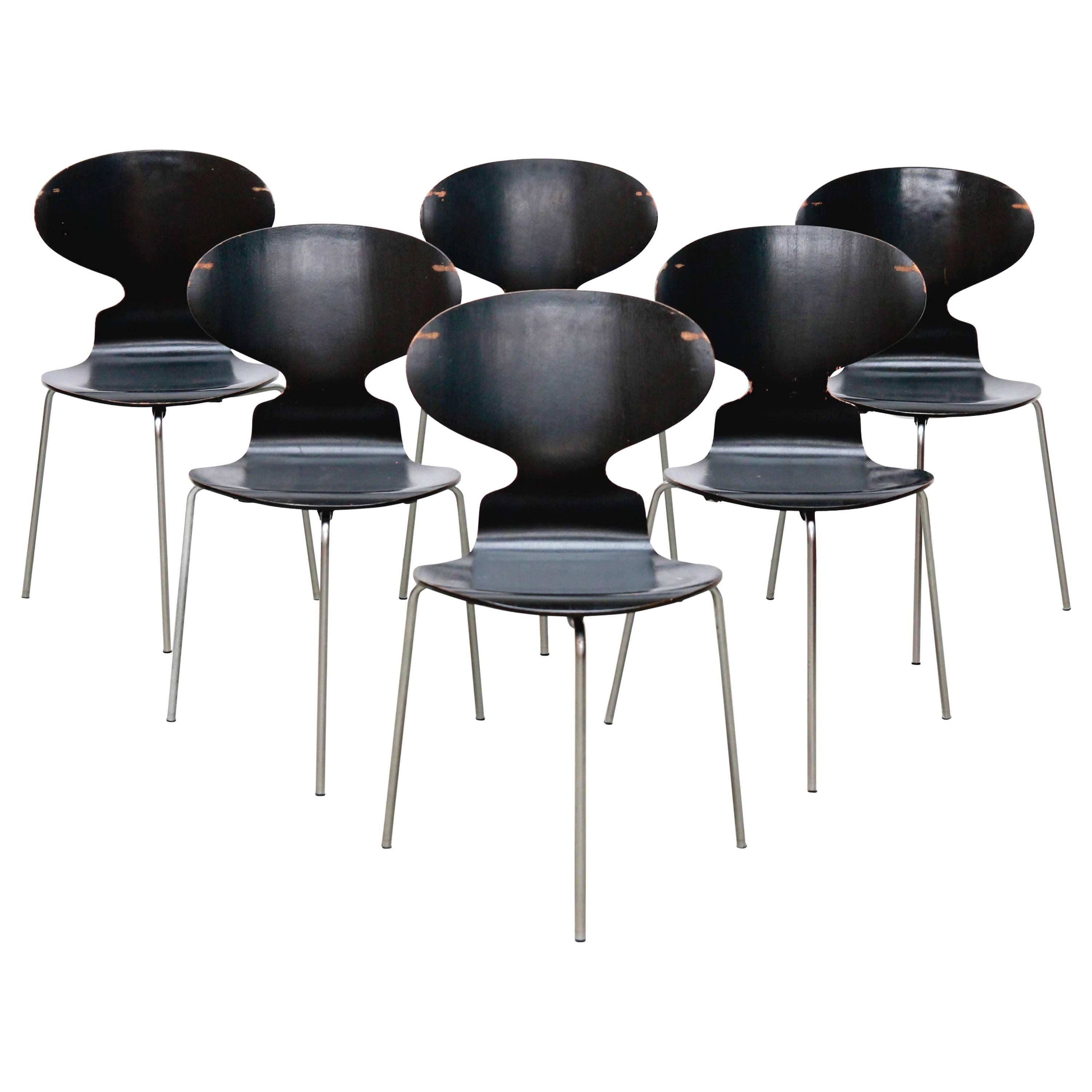 Model FH 3100 Ant Chairs by Arne Jacobsen for Fritz Hansen, 1969, Set of Six For Sale