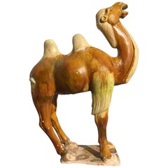 Tang Dynasty Sancai Glazed Pottery Camel, TL Tested