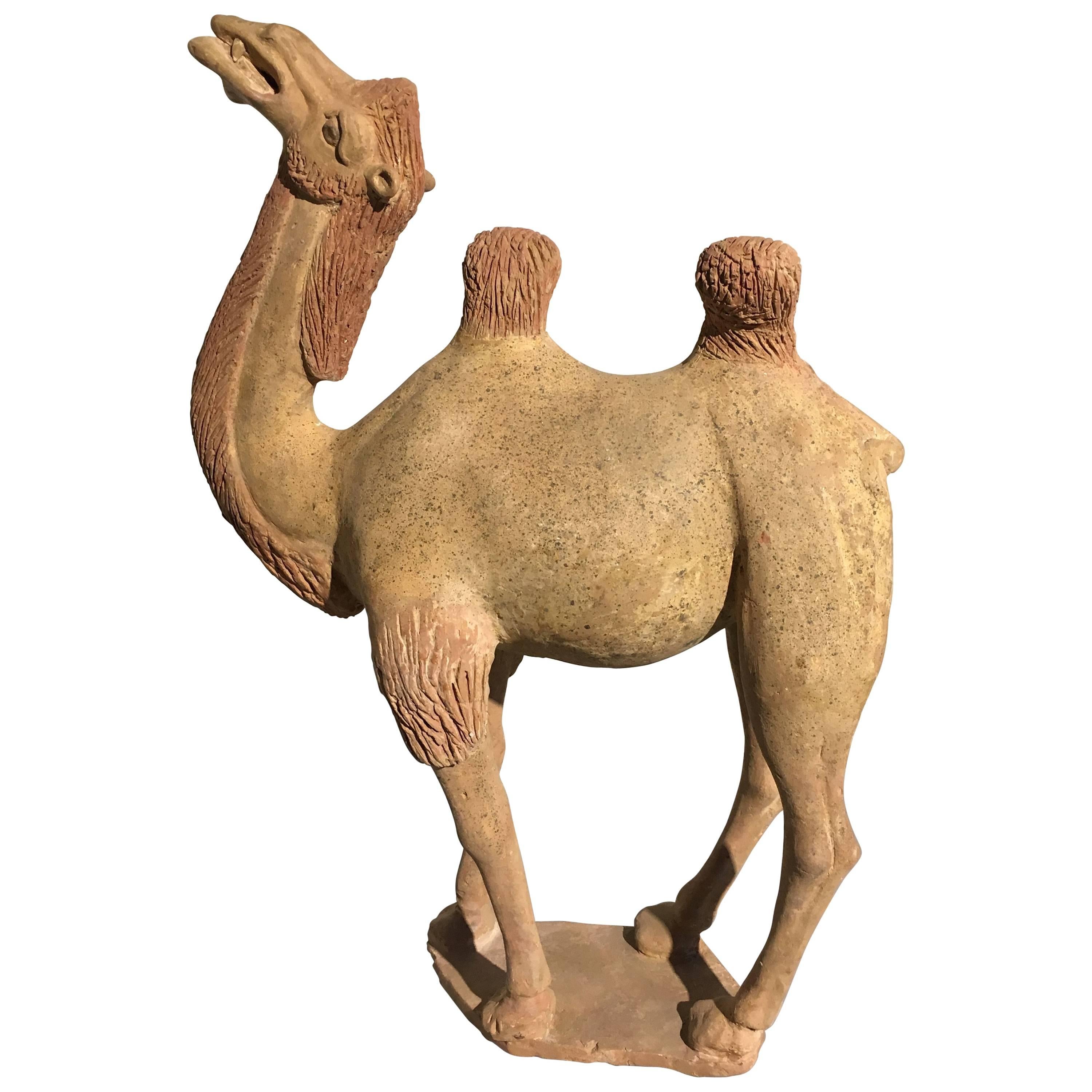 Modèle de camel en poterie peinte de la dynastie chinoise des Tang en vente