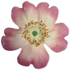 19th Century Majolica Wild Rose Wall Pocket Delphin Massier 6