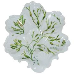 Porcelain Oyster Plate with Seaweeds Limoges, circa 1900