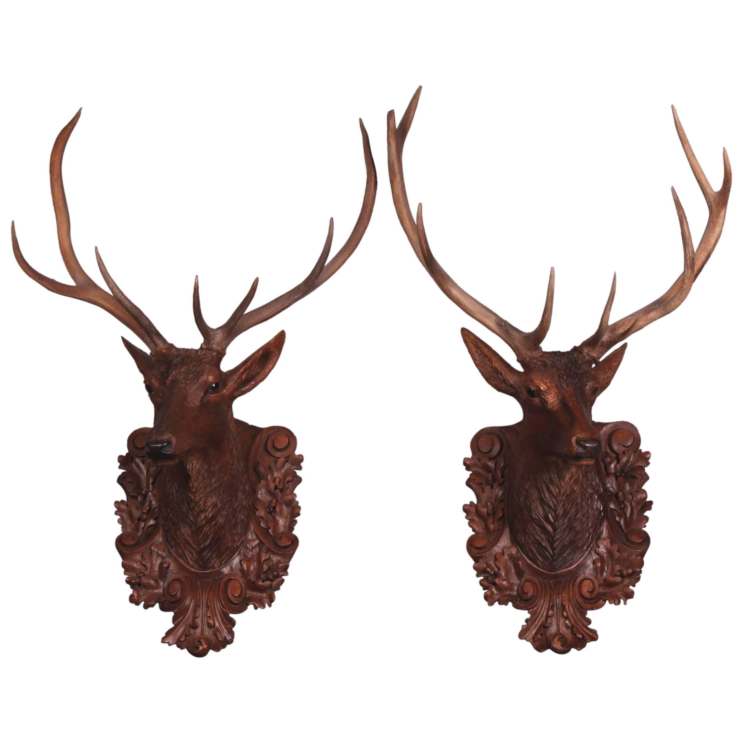 Pair of Black Forest Lifesize Stag Head