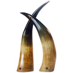Vintage Brutalist Sculpture with Interconnected Buffalo Horns, Europe, 1950s 1