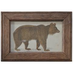 Original Antique Print of a Brown Bear, 1847