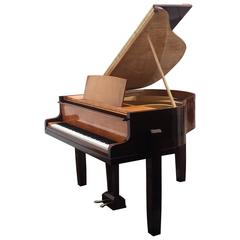 Vintage Mid-century-modern / Modernist  Grand Piano Pleyel Macassar Ebony Citruswood