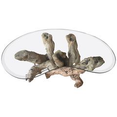 Driftwood Coffee Cocktail Glass Table Palm Beach Vintage Freeform Cypress Wood 8