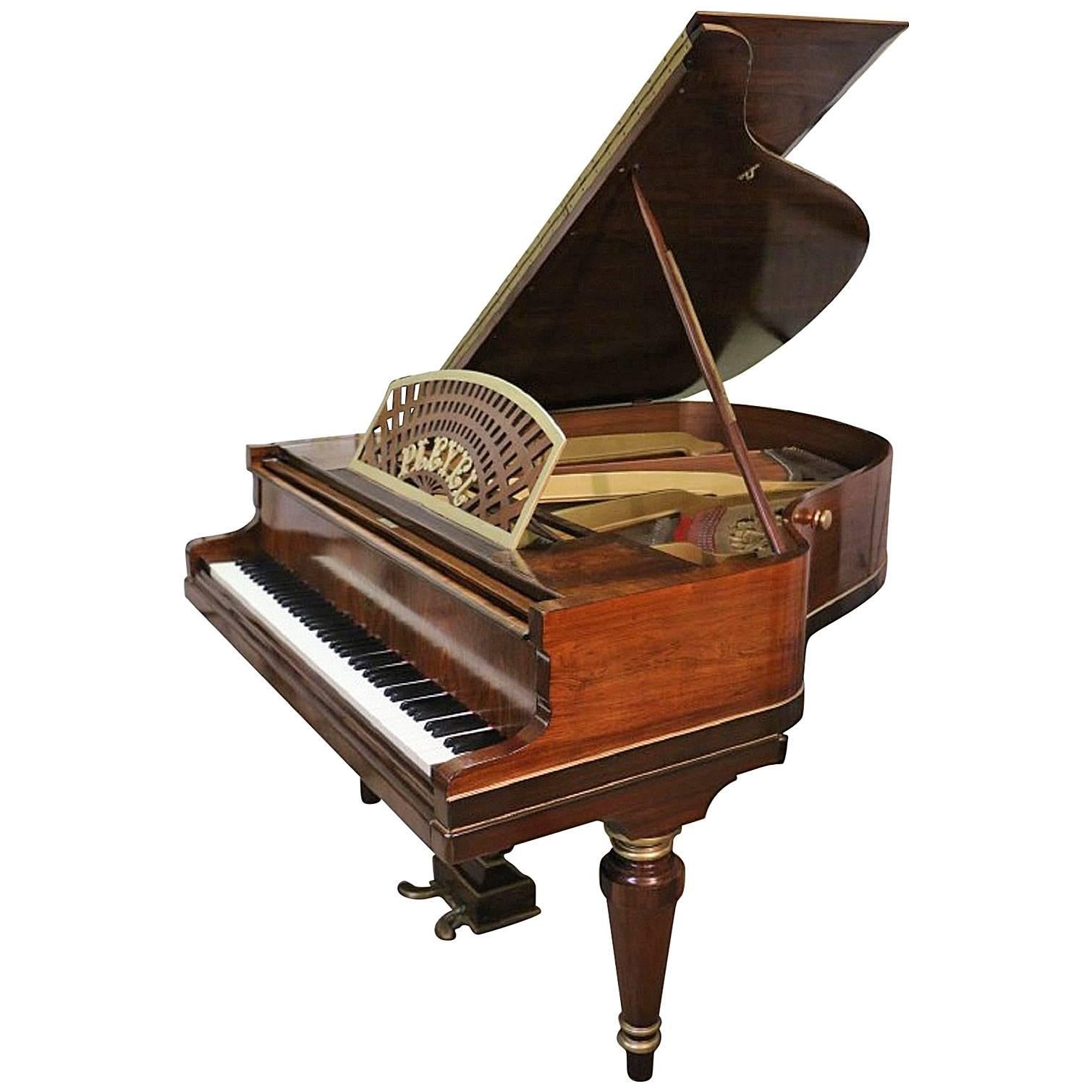 Art Case Pleyel Grand Piano Hand Painted Rosewood 