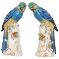 Paire de figurines de perroquets en porcelaine de style Meissen