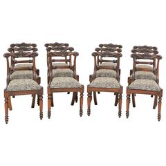 Antique Set of 12 William IV Mahogany Dining Chairs