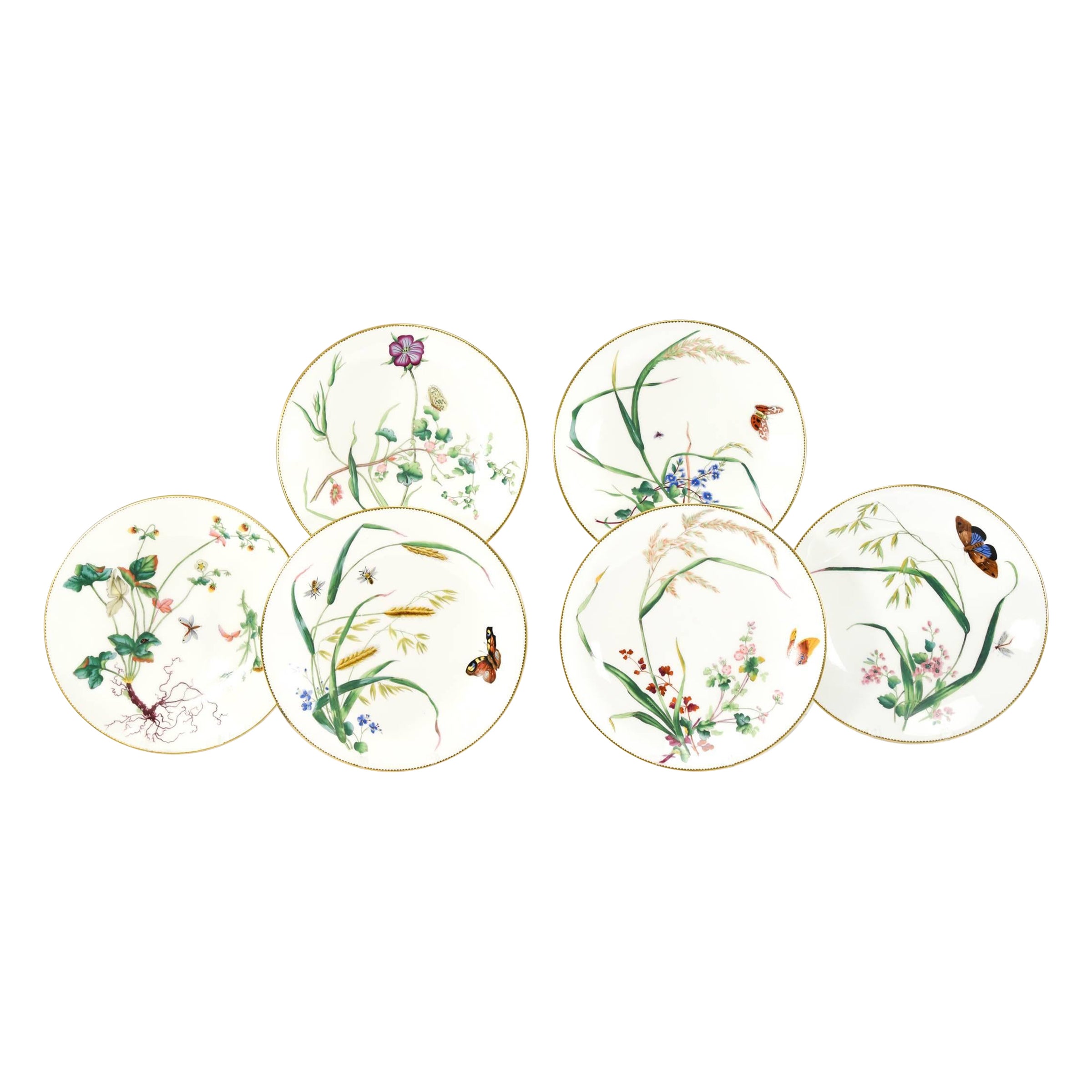 11 Aesthetic Movement Minton Hand Painted Botanical Dessert Plates Butterflies