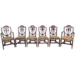 Antique Set of Six American Mahogany Shield Back Dining Room Chairs, N.Y, Circa 1820