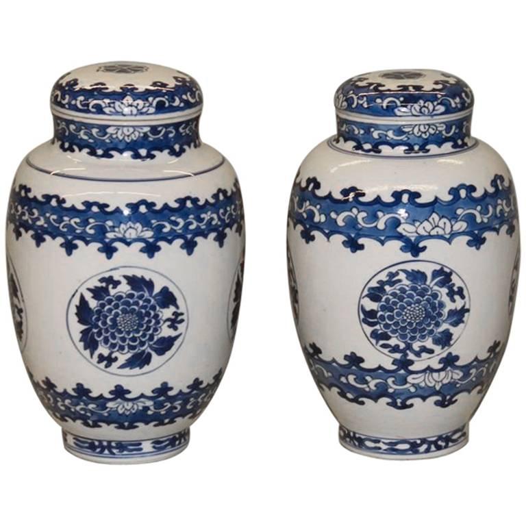 Pair of Chinese Porcelain Blue and White Ovoid Jars and Covers, 17th Century For Sale