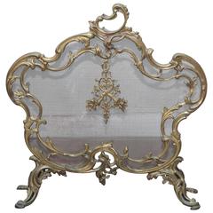 19th Century, French Baroque Fire Screen