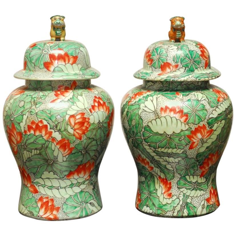 Pair of Lotus Blossom Temple Ginger Jars with Foo Dogs