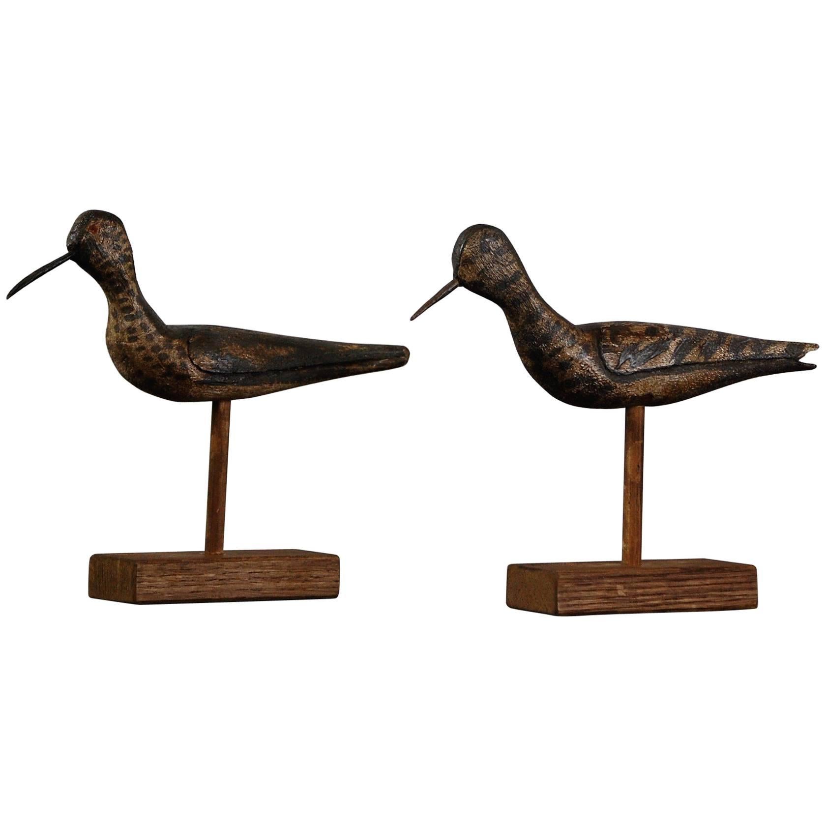 Pair of Early 20th Century Sandpiper Working Decoys