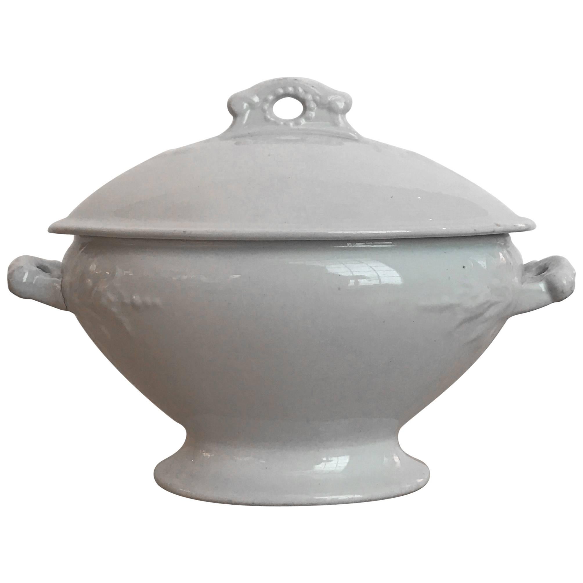 19th Century English Ironstone Tureen