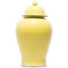 Chinese Citron Baluster Jar 7