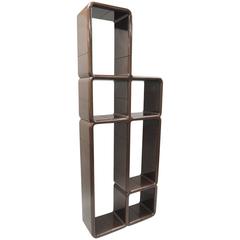Vintage Umbo Shelving Unit Bookcase by Kay Leroy Ruggles Brown Plastic After Joe Colombo