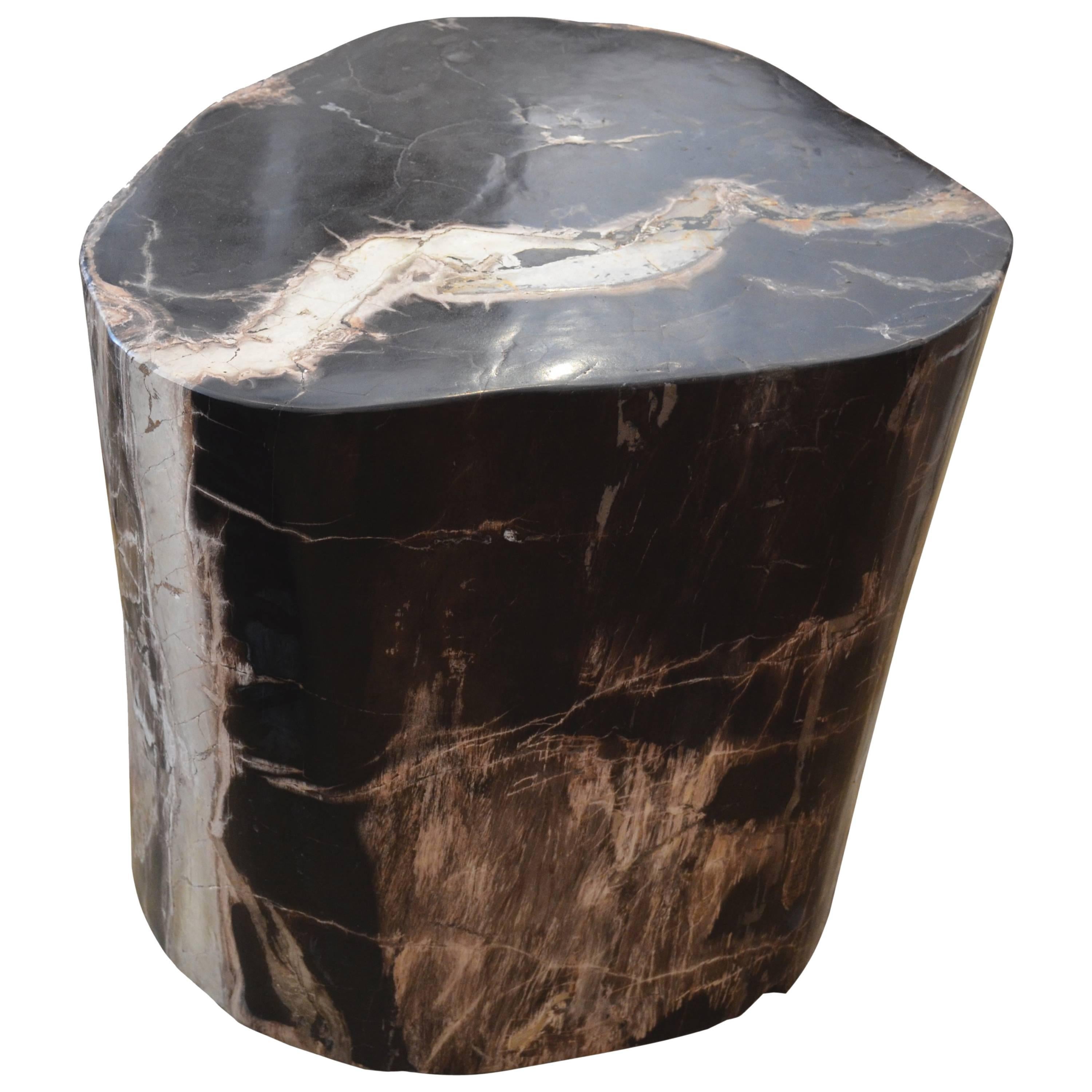 Petrified Wood Side Table