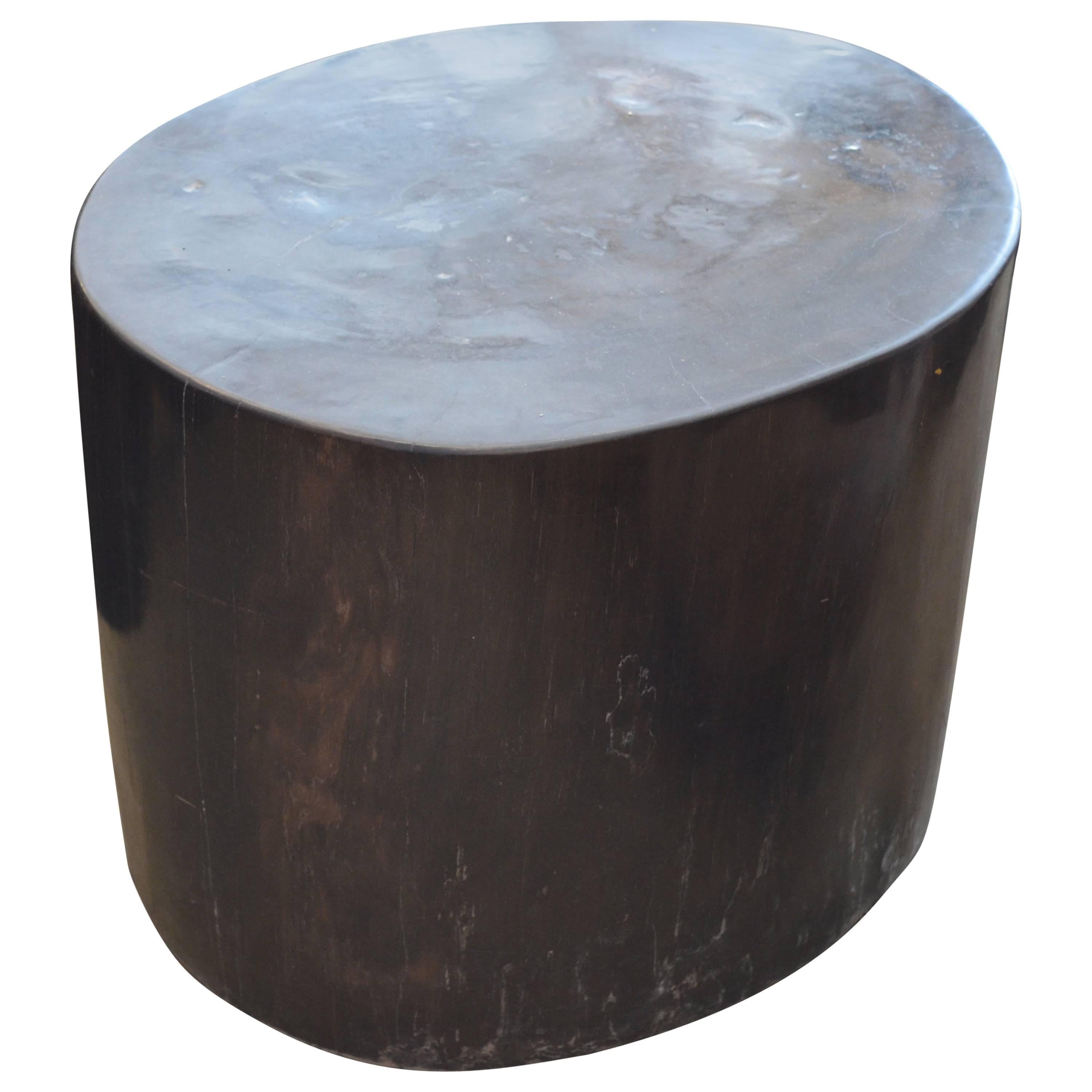 Andrianna Shamaris Super Smooth Petrified Wood Side Table