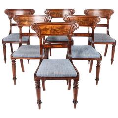 19th Century Dining Room Chairs