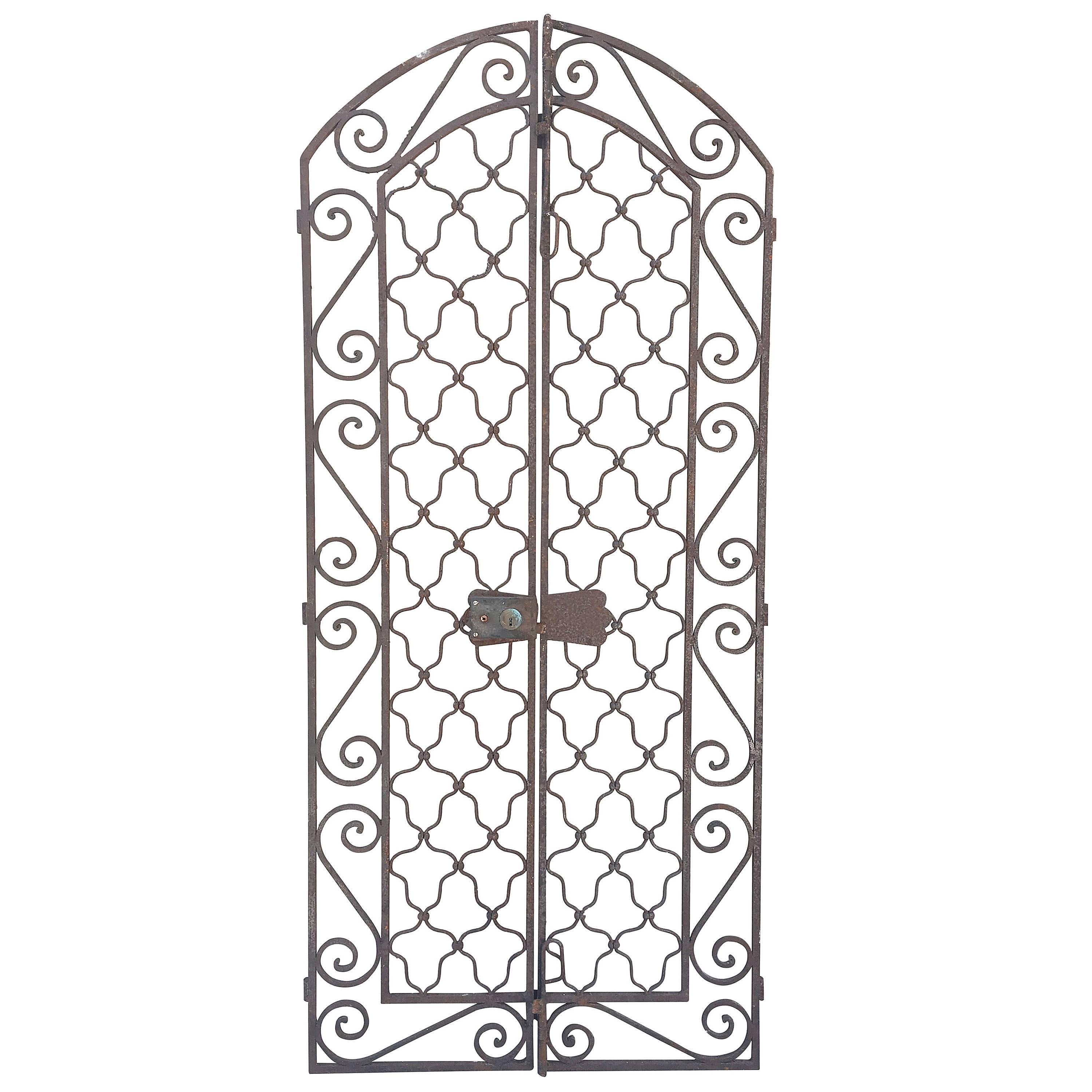 Pair of Tall French Wrought Iron Gates