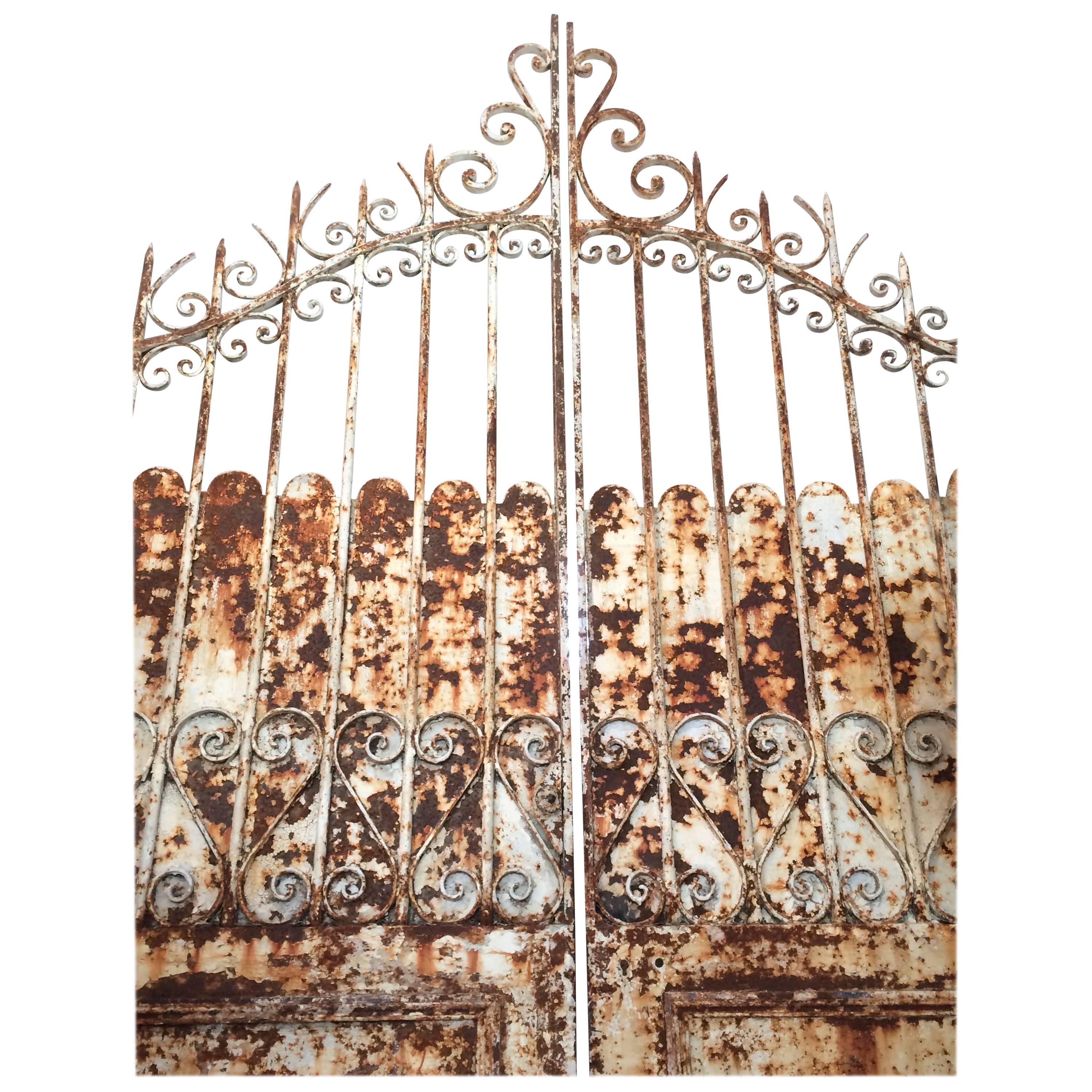 Monumental Pair of Distressed Iron Palace Garden Gates