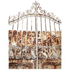 Monumental Pair of Distressed Iron Palace Garden Gates 1