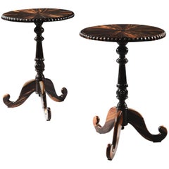 Pair of Anglo Indian Circular Calamander Lamp Tables
