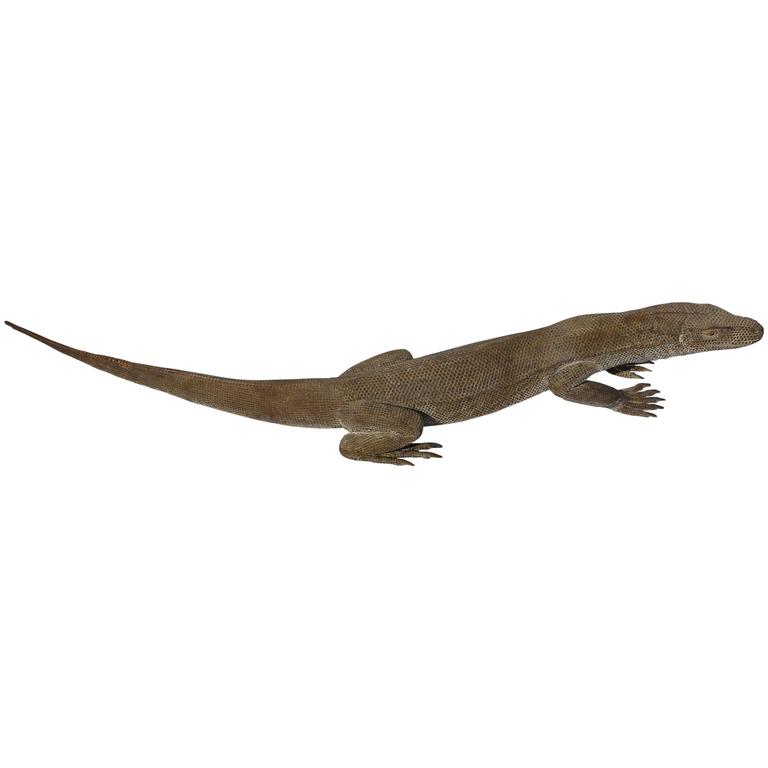 Life Size Carved Komodo Dragon Sculpture For At 1stdibs Life Size Carved Komodo Dragon Sculpture For