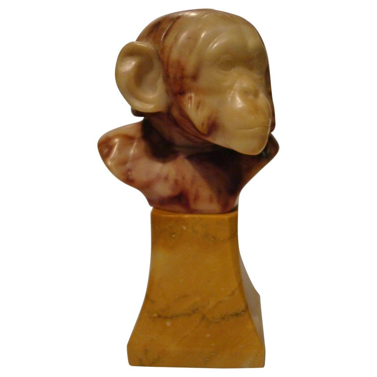 Marble Monkey Bust For Sale at 1stdibs