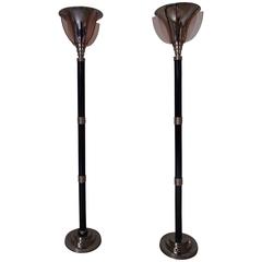 Pair of PETITOT Floor Lamps with Pink Glass Wings