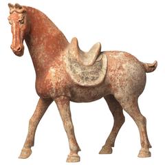Chinesisches Terrakotta-Modell eines Pferdes aus der Tang-Dynastie