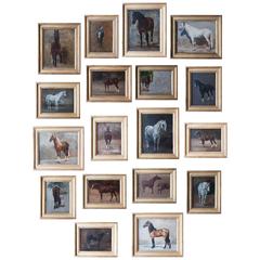 Set of 18, French, 19th Century Studies of Horses, Oil on Board, J. R Goubie
