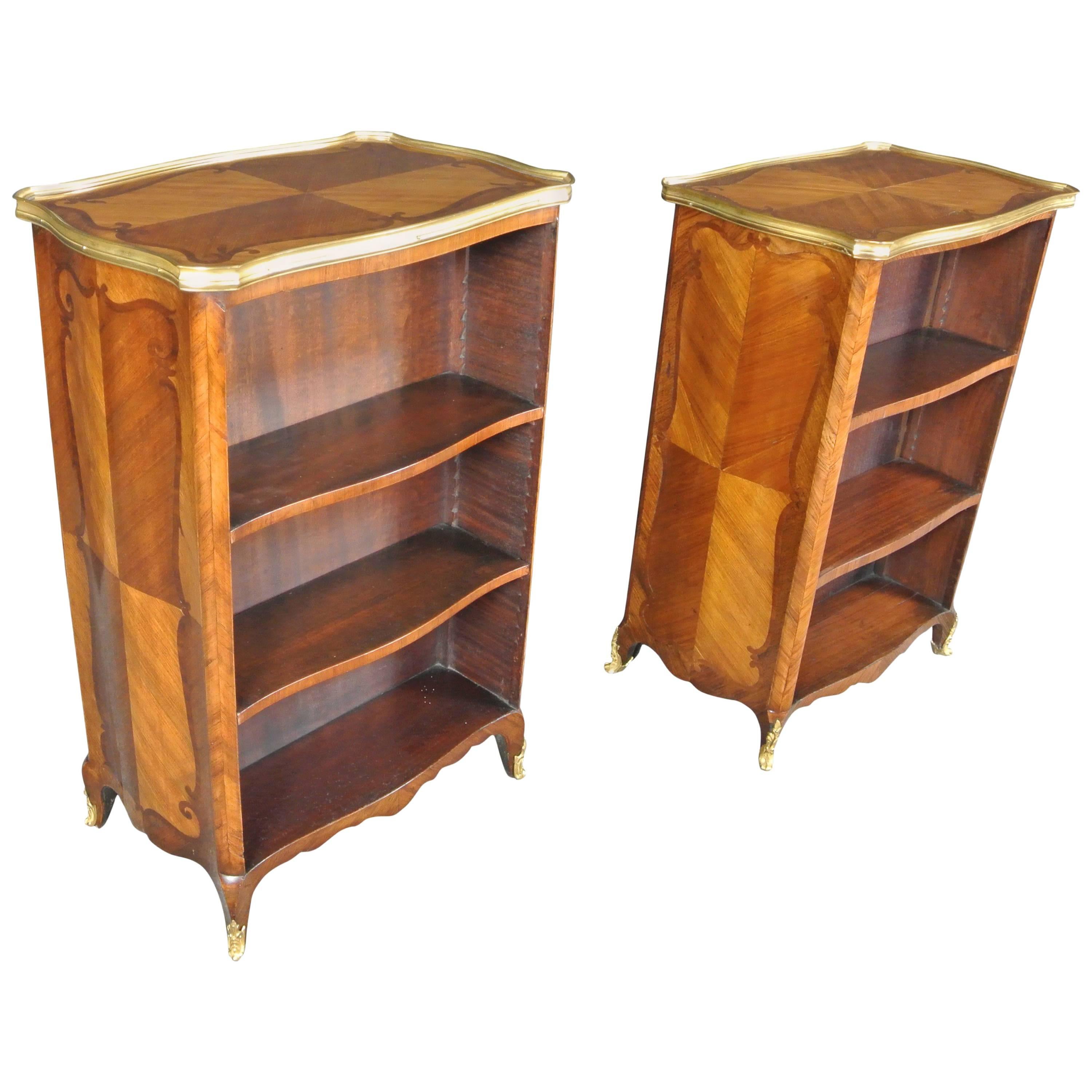 Fine Pair of 19th Century Bibliotheques