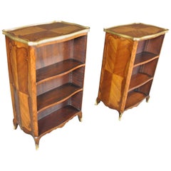Fine Pair of 19th Century Bibliotheques