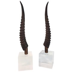 Pair of Gazelle Horns Mounted on Lucite