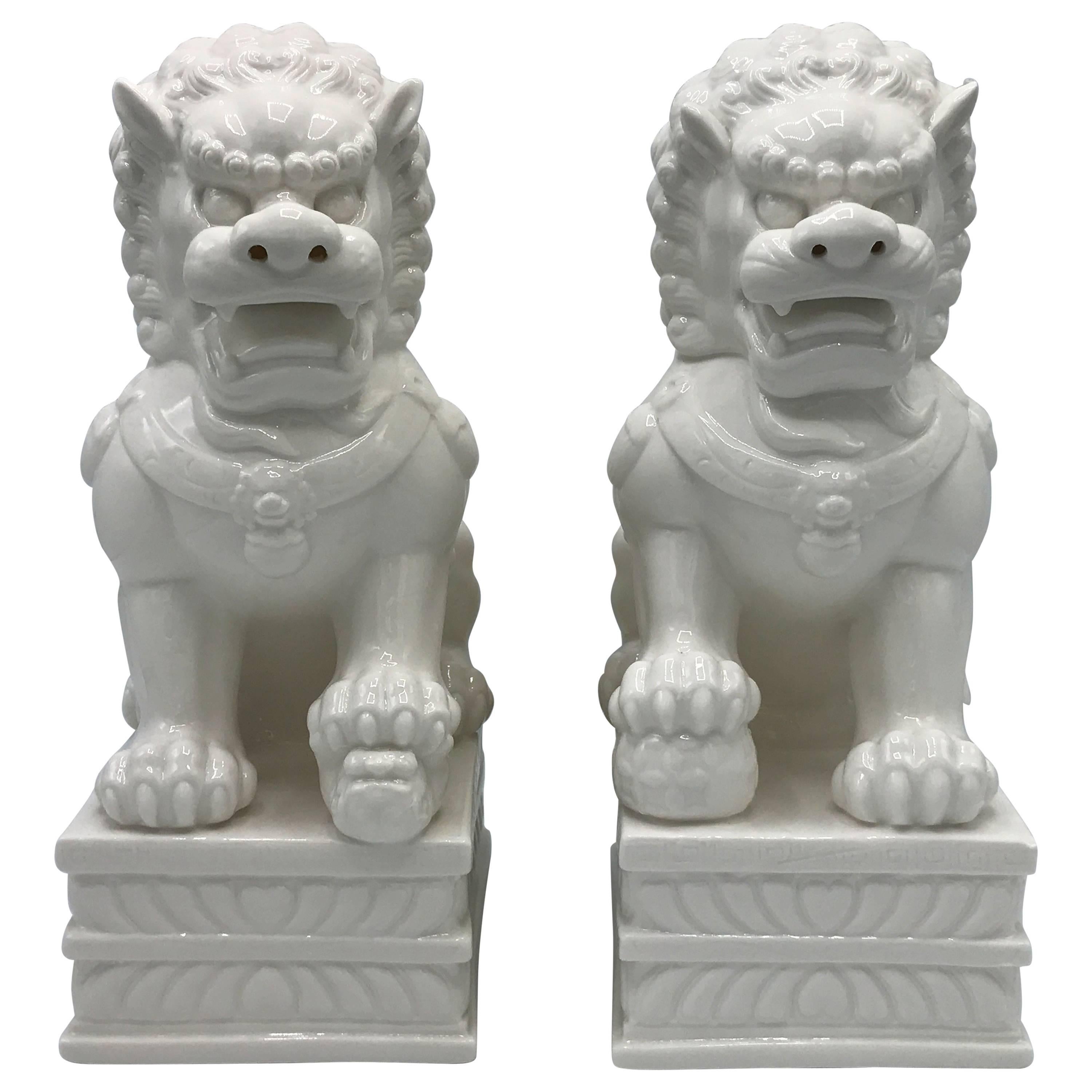 1960s Large Blanc de Chine Foo Dog Statues, Pair For Sale