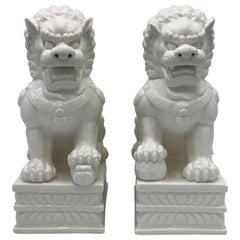 1960s Large Blanc de Chine Foo Dog Statues, Pair