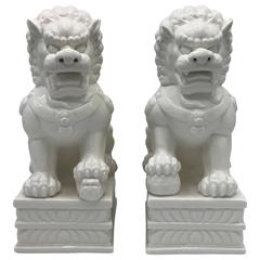 1960s Large Blanc de Chine Foo Dog Statues, Pair 5